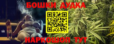 гидропоника Краснокаменск