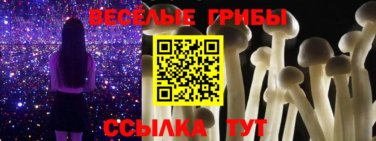 Псилоцибиновые грибы мицелий Краснотурьинск