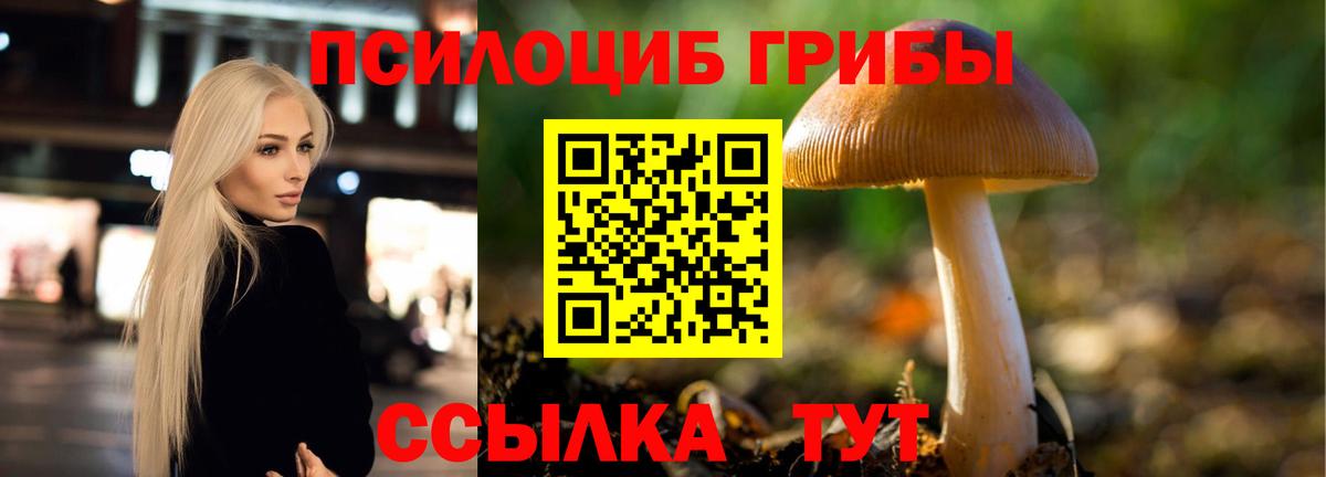 Псилоцибиновые грибы Psilocybine cubensis  Галлюциногенные грибы Cubensis  Вход с VPN  где купить наркоту  Краснотурьинск 